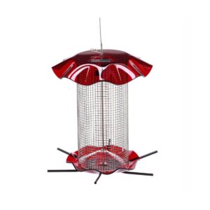 Birds Choice 3qt Forever Black Oil Sunflower Bird Feeder - Red