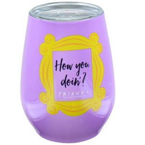 Silver Buffalo Friends How You Doin 10oz Double Wall Stainless Steel Stemless Tumbler w/ Lid