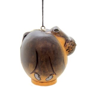 Home & Garden 6.5" Hippo Gord-O Birdhouse Albesia Songbird Gold Crest Distributing - Bird And Insect Houses