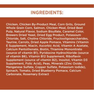 Iams Proactive Health High Protein Chicken & Salmon Recipe Adult Premium Dry Cat Food - 6lbs