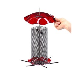 Birds Choice 3qt Safflower Forever Bird Feeder - Red