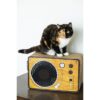 Park & Bench Fidelity Cat Scratcher - S