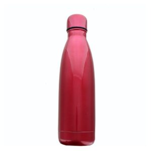 Seven20 Harley Quinn Stainless Steel Vacuum Hot or Cold Insulated Water Bottle, 17oz
