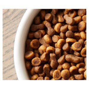 Rachael Ray Nutrish Yummy Chicken and Veggies Recipe Dry Cat Food - 5lbs