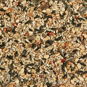 Kaytee 5lb Fruit and Nut Bird Feed