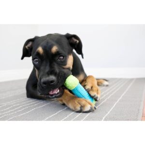 KONG Corestrength Bone Dog Toy - Green/Blue - M/L