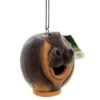 Home & Garden 6.5" Hippo Gord-O Birdhouse Albesia Songbird Gold Crest Distributing - Bird And Insect Houses