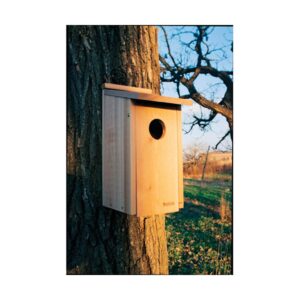 Woodlink 24338 Wooden Screech Owl Kestrel Bird House Nesting Box with Wood Shavings
