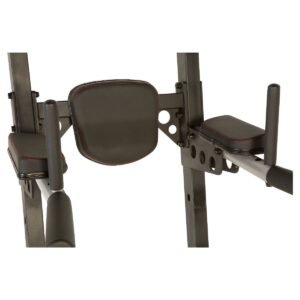 Fitness Reality X-Class High Capacity Multi-Function Power Tower