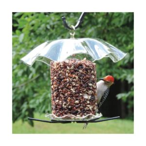 Birds Choice Bird Cylinder Seed Cake Bird Feeder, Medium