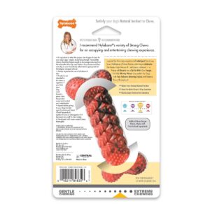 Nylabone Rubber Braid Dog Bone - S