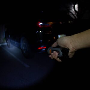 Wagan Brite-Nite Wayfinder LED Flash Light Black