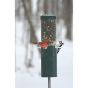 Birds Choice Nature Products Classic Pole Mount Wild Bird Feeder - Green