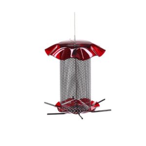 Birds Choice 3qt Safflower Forever Bird Feeder - Red