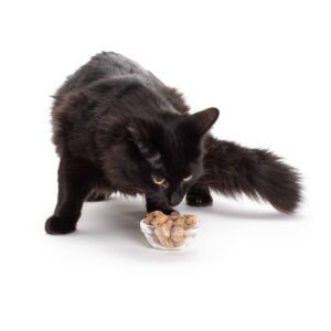 Hauspanther Freeze Dried Chicken Liver Cat Treats - 1.5oz