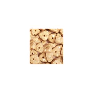 Nutro Crunchy Apple Dog Treats - 10oz