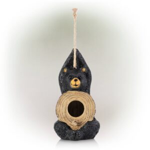 10" Polyresin Bear Birdhouse Black/Brown - Alpine Corporation