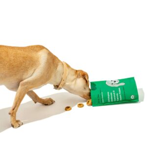 Wild One Organic Veggie Burger Dog Treats - 8oz