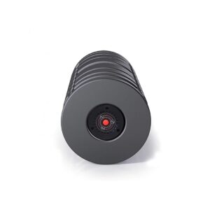 Lifepro LPSRGBLK Velocity 4 Speed Vibrating Deep Muscle Tissue Trigger Point Massage Workout Exercise Therapy Recovery Foam Massager Roller, Black
