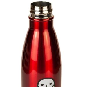 Seven20 Harry Potter & Hedwig Chibi Characters Aluminum Water Bottle | Holds 17 Ounces