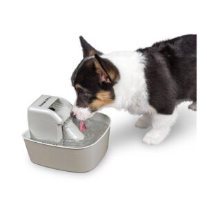 Premier Pet Automatic Pet Fountain for Dogs and Cats - 50oz