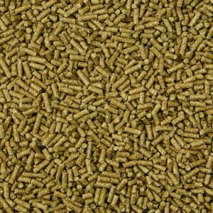 KAYTEE Forti-Diet Timothy Select Rabbit Food - 3.5lbs