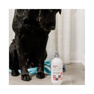 PL360 Soothing Shampoo For Dogs - Honey Almond - 16oz