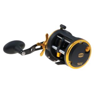 Penn SQL20LW Squall Levelwind Lightweight Saltwater Fish Trolling Fishing Reel, Black & Gold