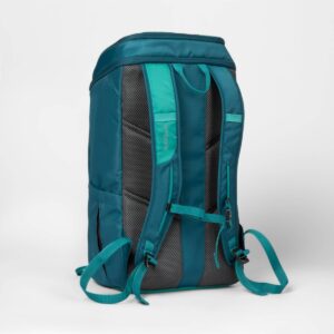 20.5" Daypack Turquoise Blue - Embark™