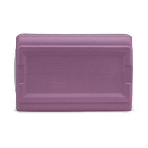 Igloo Playmate Elite 50th Anniversary 16qt Cooler with Decorated Lid - Tea Rose