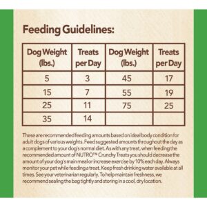 Nutro Crunchy Apple Dog Treats - 10oz