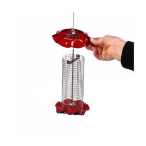Birds Choice 1qt Forever Black Oil Sunflower Bird Feeder - Red