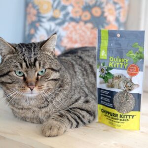 Quirky Kitty Chippurr Kitty North American Catnip with Passionflower Blend Cat Treats - 0.5oz