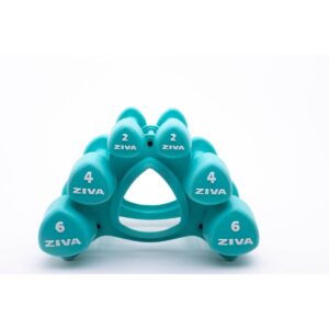 ZIVA Chic Wellness Workout Kit - Turquoise