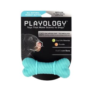 Playology Peanut Butter Scent Bone Dog Toy - Blue - M