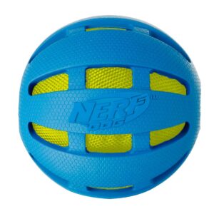NERF Nerf Checker Crunch Ball Dog Toy - Blue/Green - L