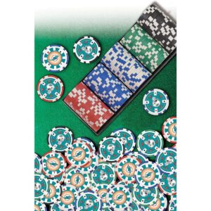 MasterPieces Inc Miami Dolphins NFL 100-Piece Poker Chips
