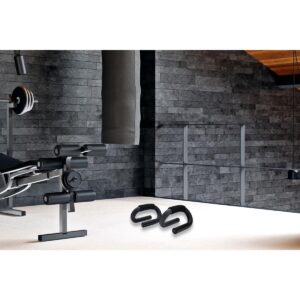 Mind Reader Push-Up Bar, Set of 2, Iron, Black