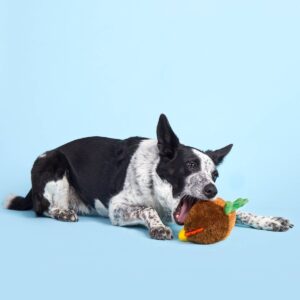 BARK Super Chewer Rooster Dog Toy - Fowl Play