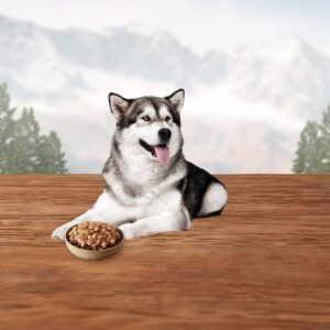 Blue Buffalo Wilderness Grain Free Wild Cuts Chicken & Beef Flavors Wet Dog Food Topper - 3oz/12ct Variety Pack