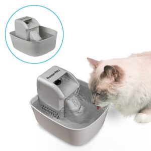 Premier Pet Automatic Pet Fountain for Dogs and Cats - 50oz