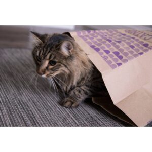SmartyKat Catnip Caves Cat Toy - 2pk