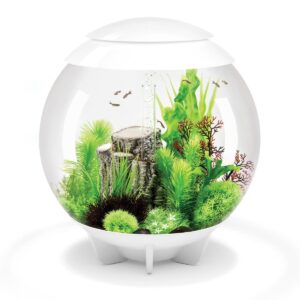 biOrb Bubble Tube Aquarium Filter