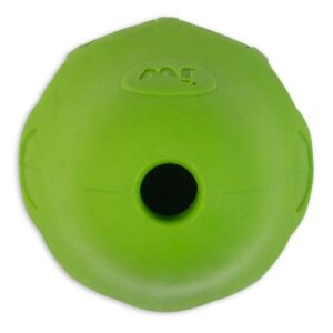 JW Pet Tumble Teez Treat Dog Toy - Green - S