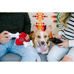 Pearhead Feliz Naughty and Nice Reversible Bag and Dog Toy Set