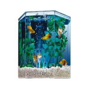 Tetra Bubbling LED Aquarium Kit 1 Gallon, Hexagon Shape, With Color-Changing Light Disc