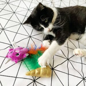Quirky Kitty Unicorn Cat Toy