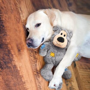 KONG Wild Knots Bear Dog Toy - Colors May Vary - M/L