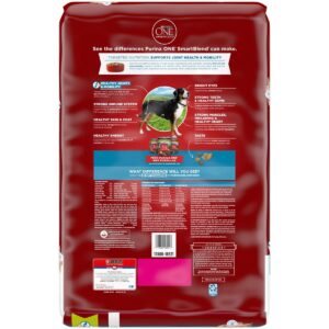 Purina ONE Joint Health Dry Dog Food - 16.5lbs
