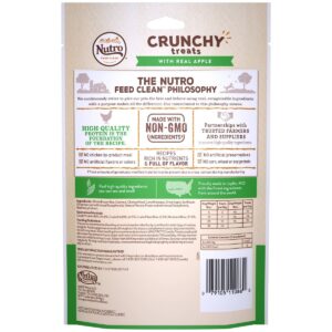 Nutro Crunchy Apple Dog Treats - 10oz